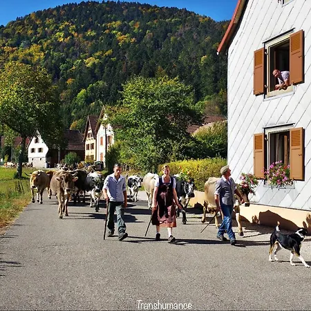 Du Silberrain Pres De Colmar - Cheminee, Sauna, Piscine Partagee *
