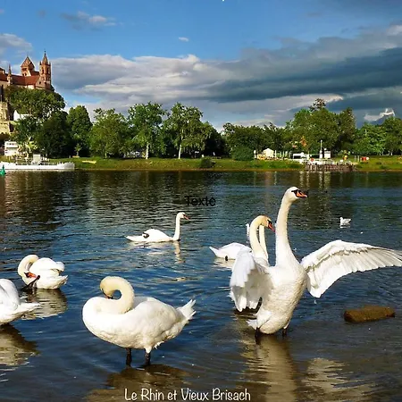 Сasa de vacaciones Du Silberrain Pres De Colmar - Cheminee, Sauna, Piscine Partagee *