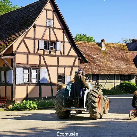 Сasa de vacaciones Du Silberrain Pres De Colmar - Cheminee, Sauna, Piscine Partagee