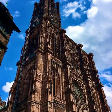Du Silberrain Pres De Colmar - Cheminee, Sauna, Piscine Partagee Vakantiehuis